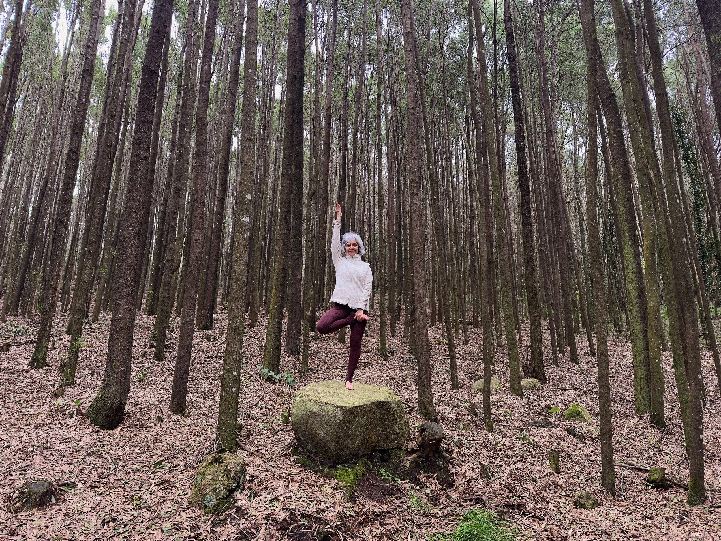 Beatriz a praticar a pose da árvore em ioga, em cima de uma rocha, numa floresta densa