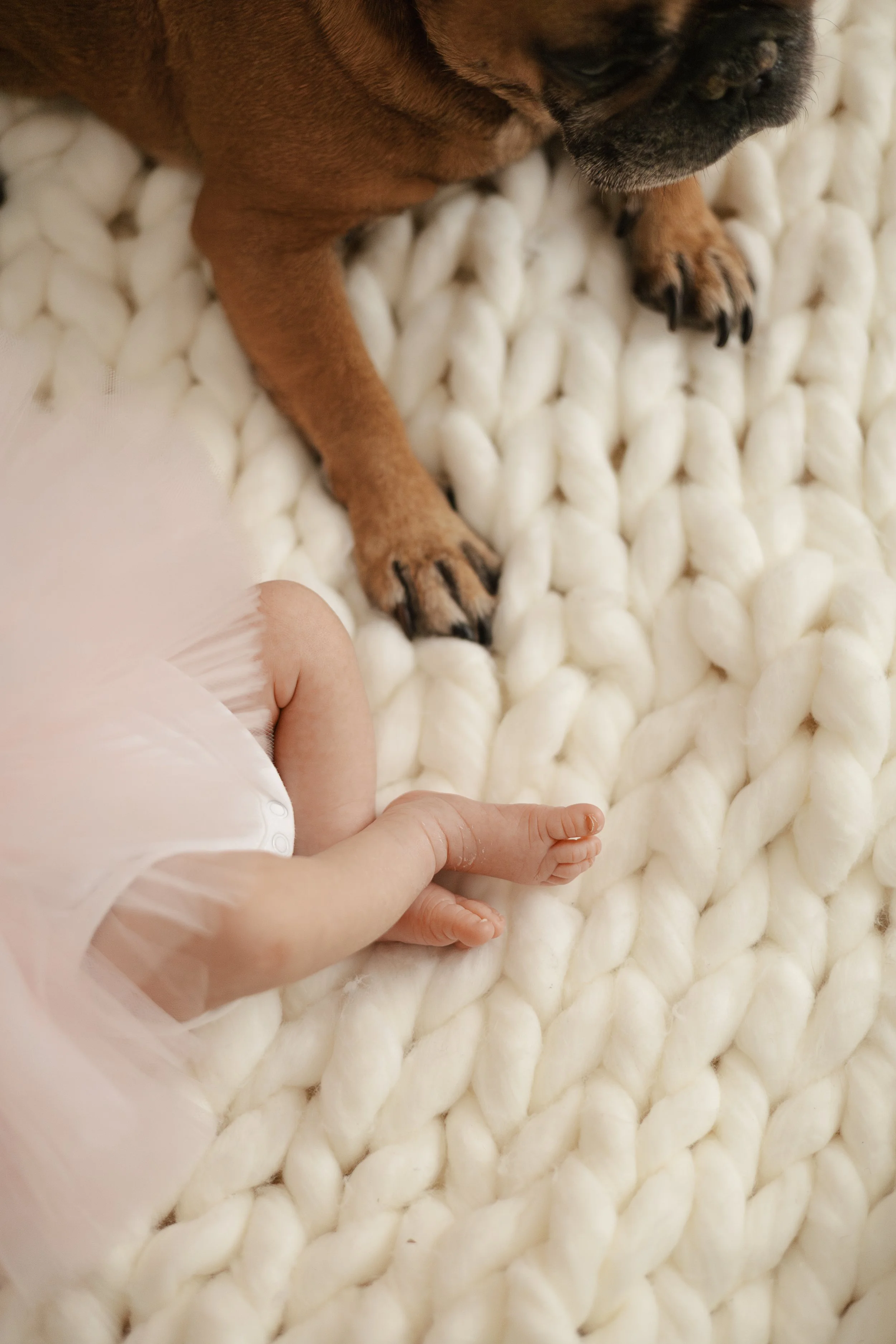 CisnerosNewborn-112.jpg