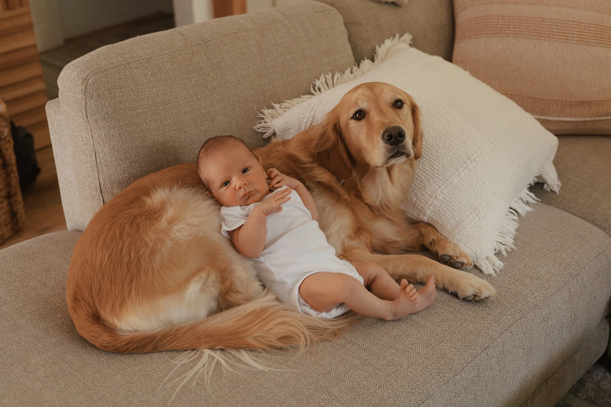 MulvehillNewborn-031.jpg