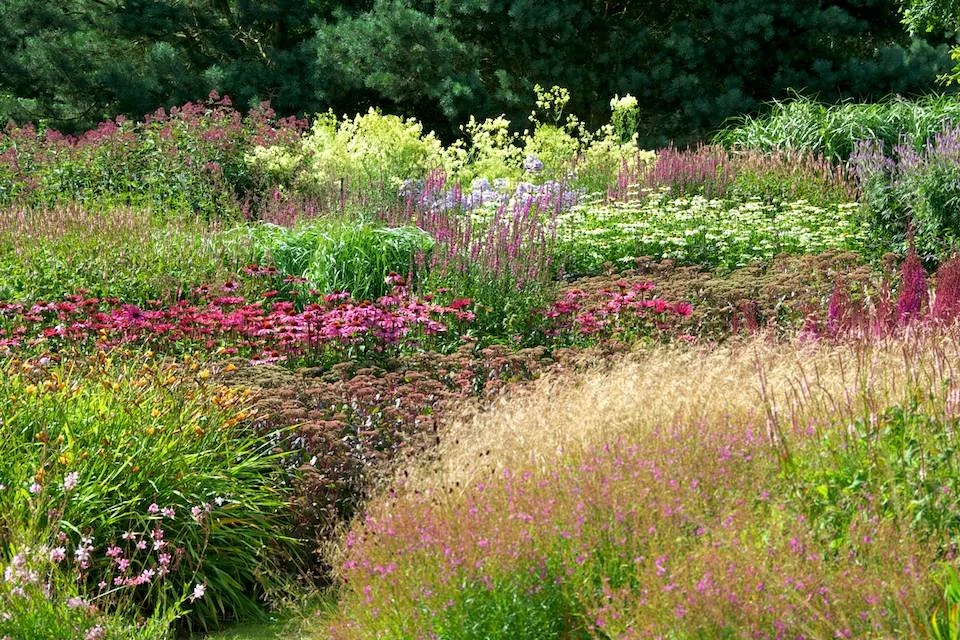 Bringing Nature into Your Yard