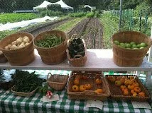 Urban Farm Center with CLC