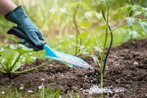 Chemistry in Your Garden