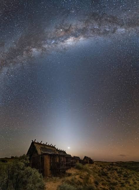 Dark is the New Green: How Our Light at Night Alters the World