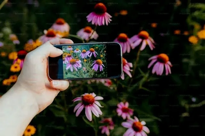 Composing Good Photos of Flowers with Cell Phones