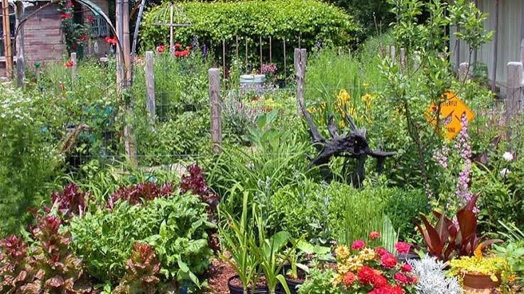 Lazy Gardener’s Guide to Green Landscaping 