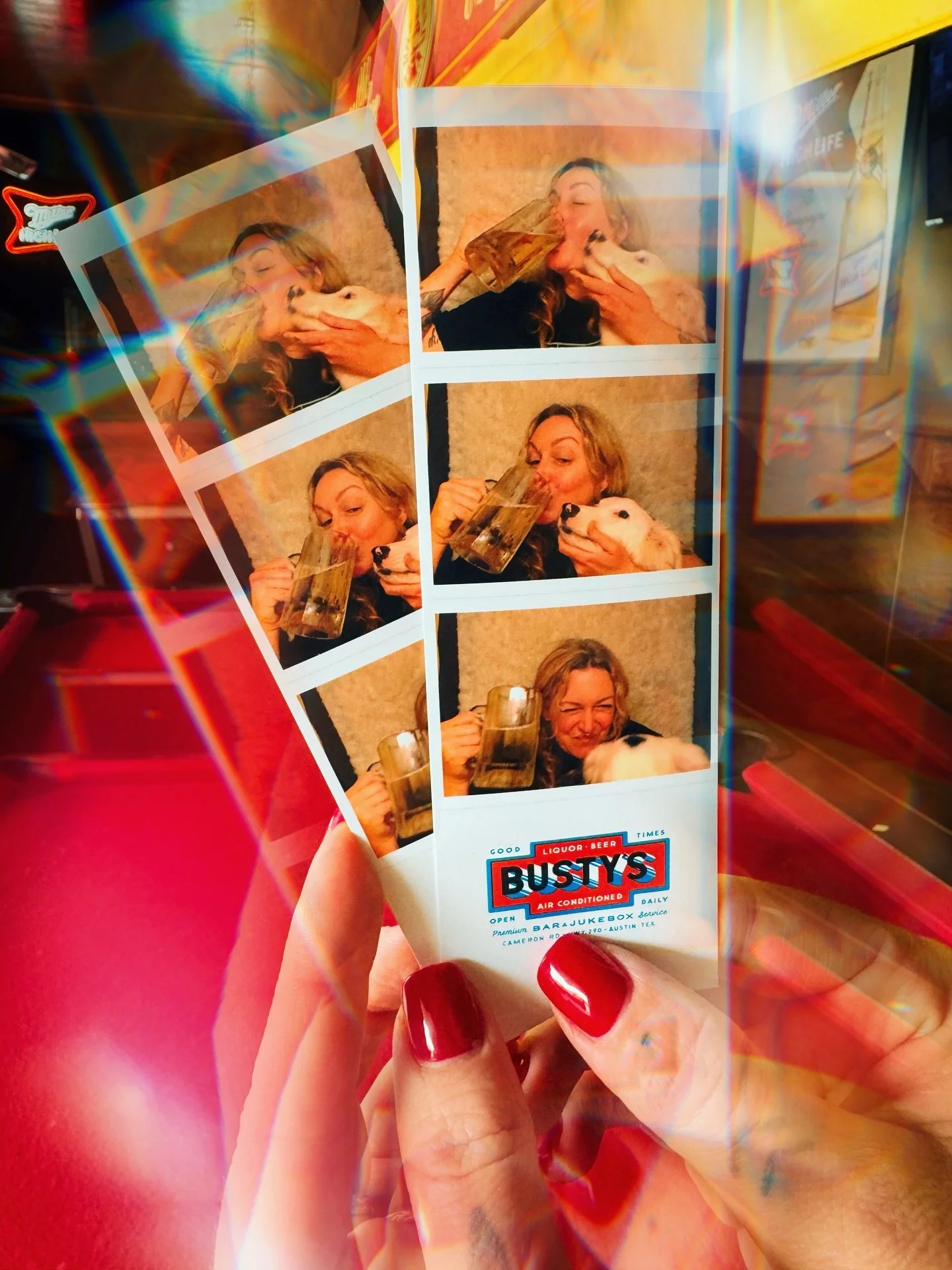 ✨ Dottie is for adoption contact @decentmammal 🖤 $3 High Life TUESDAYS $3! BUSTY&rsquo;s is the place to be. 🍺