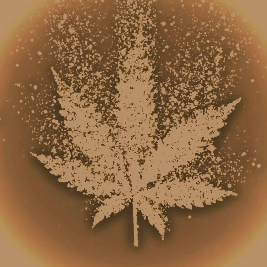 Screenshot 2024-03-13 at 11.22.52 PM.jpg