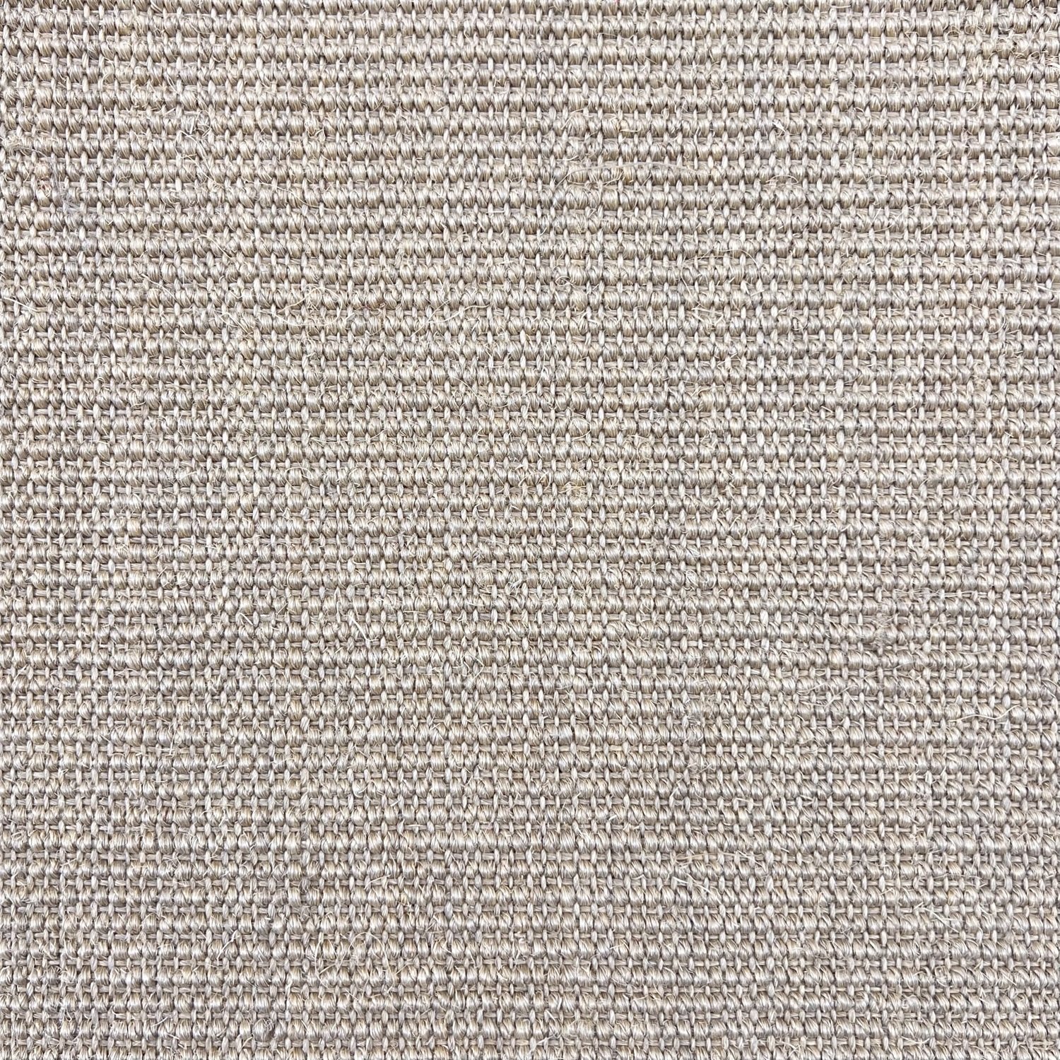 NaturalsSilverBirch2.jpg
