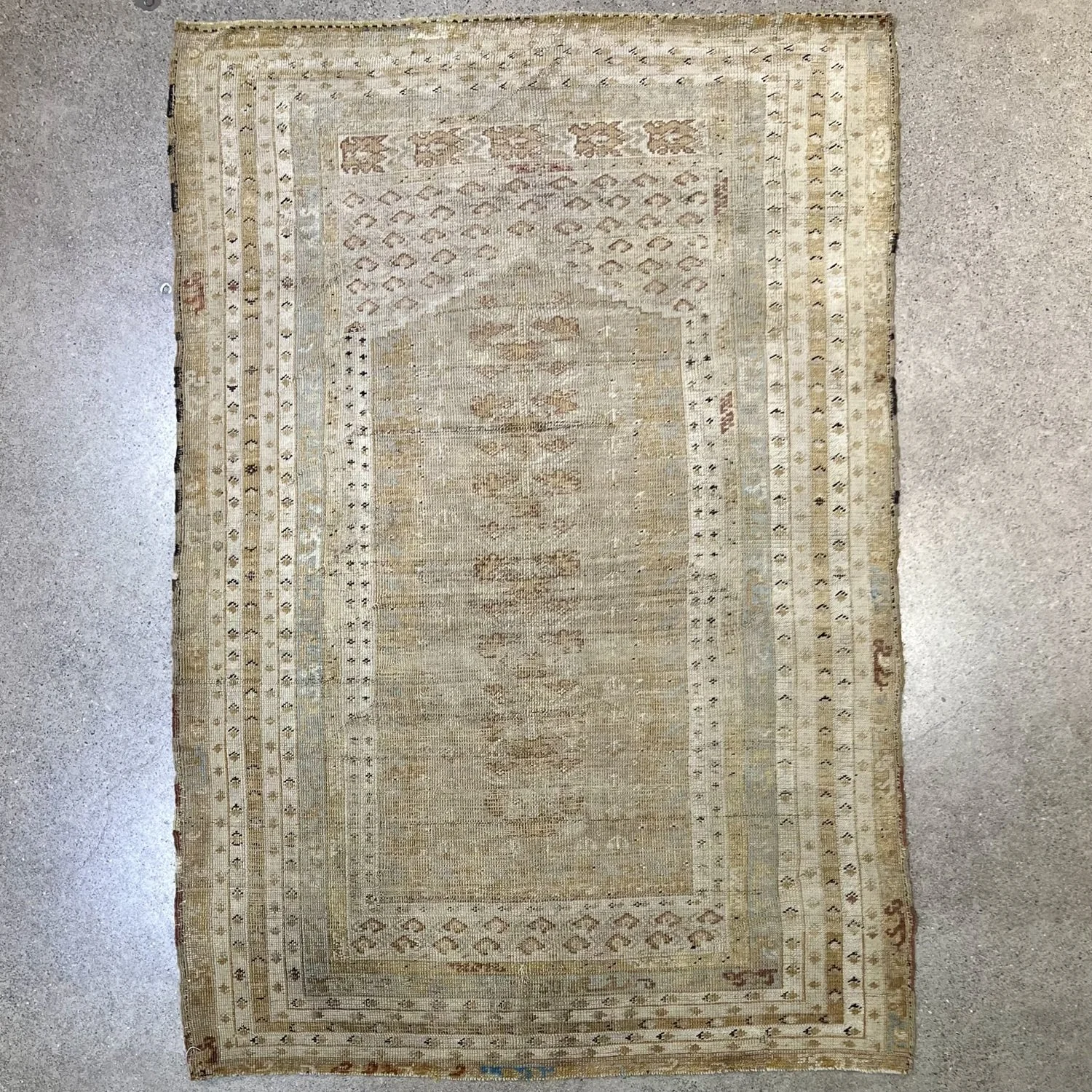 G15555_1.jpg