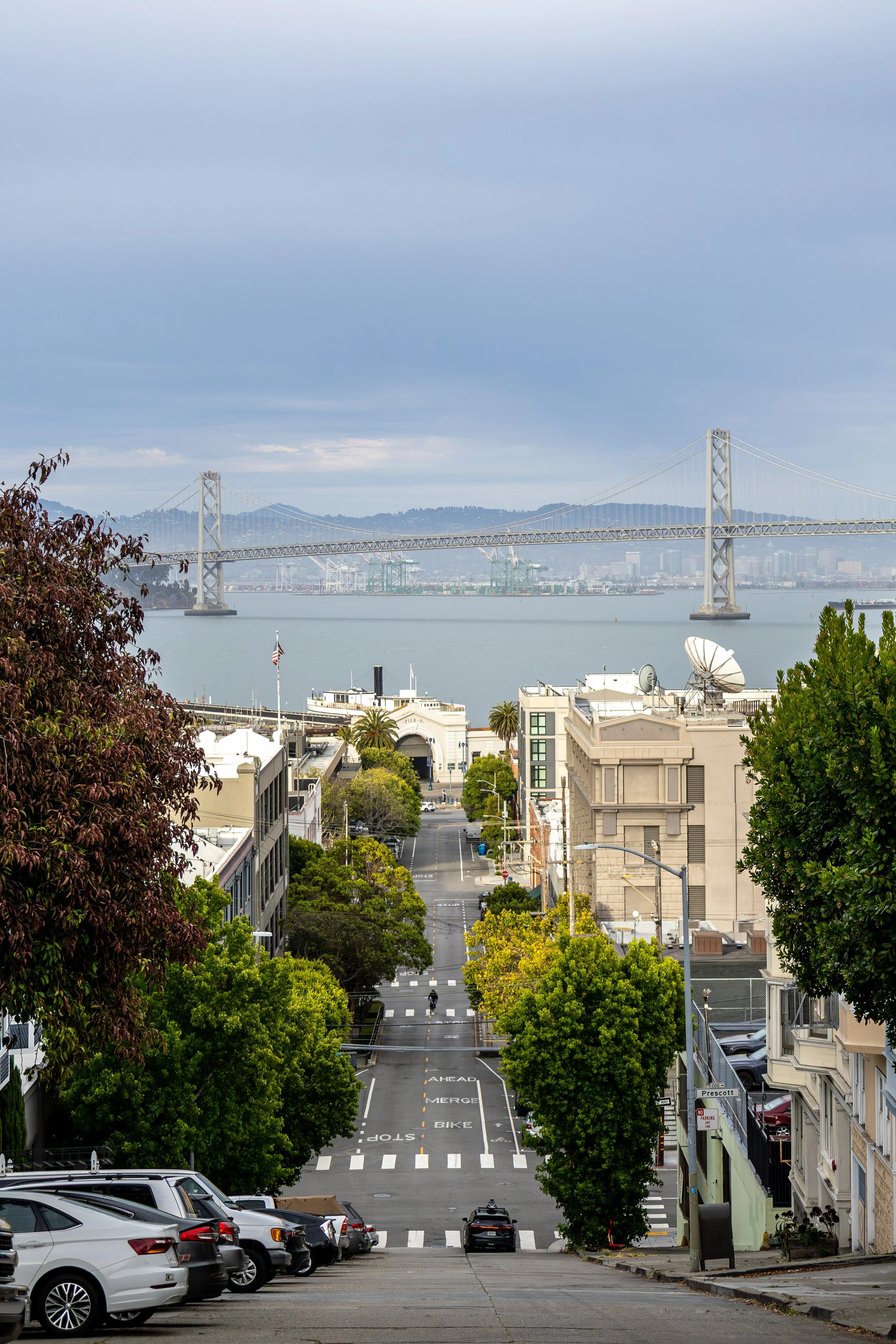 SF26Solid-3.jpg