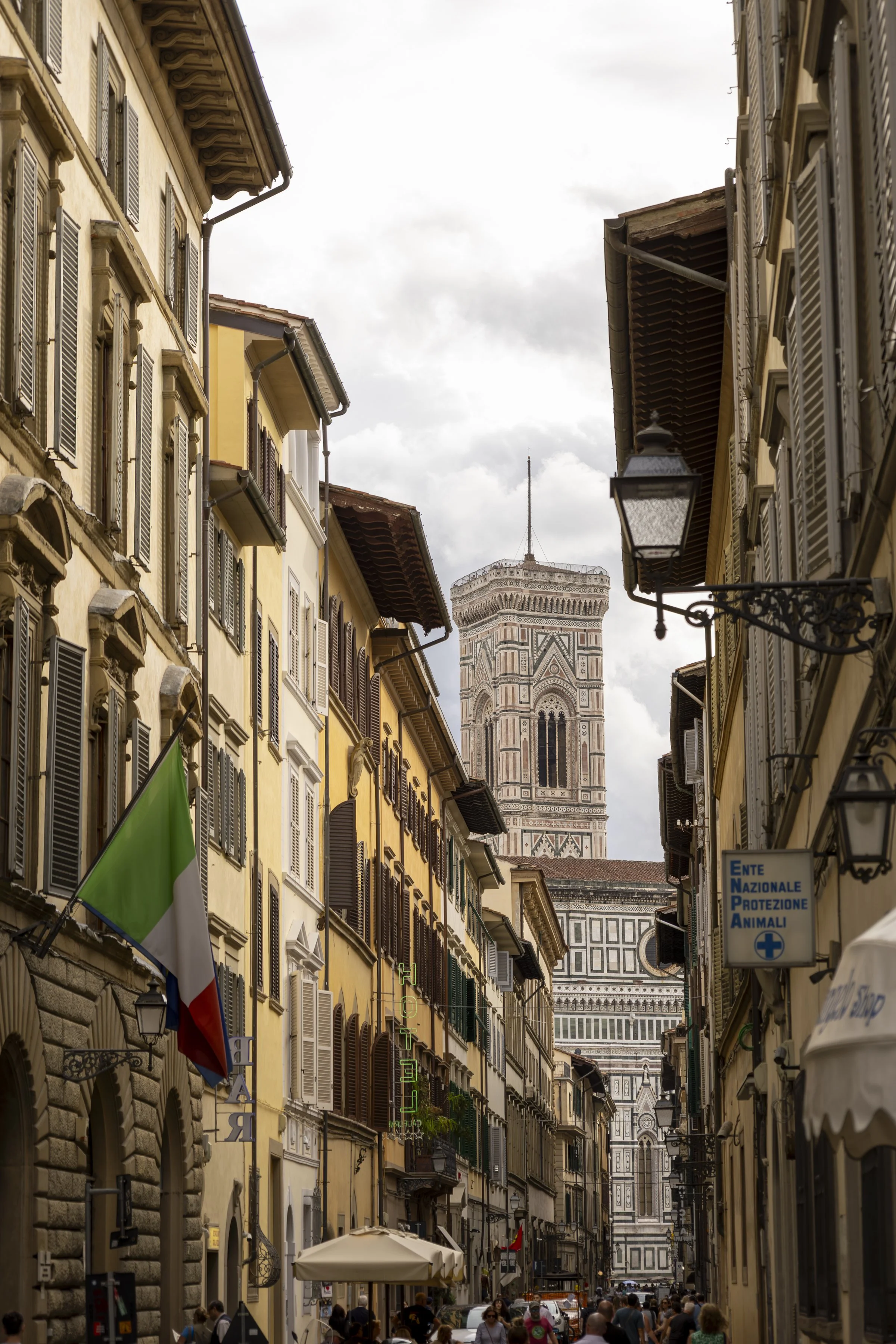 FlorenceSolid-14.jpg