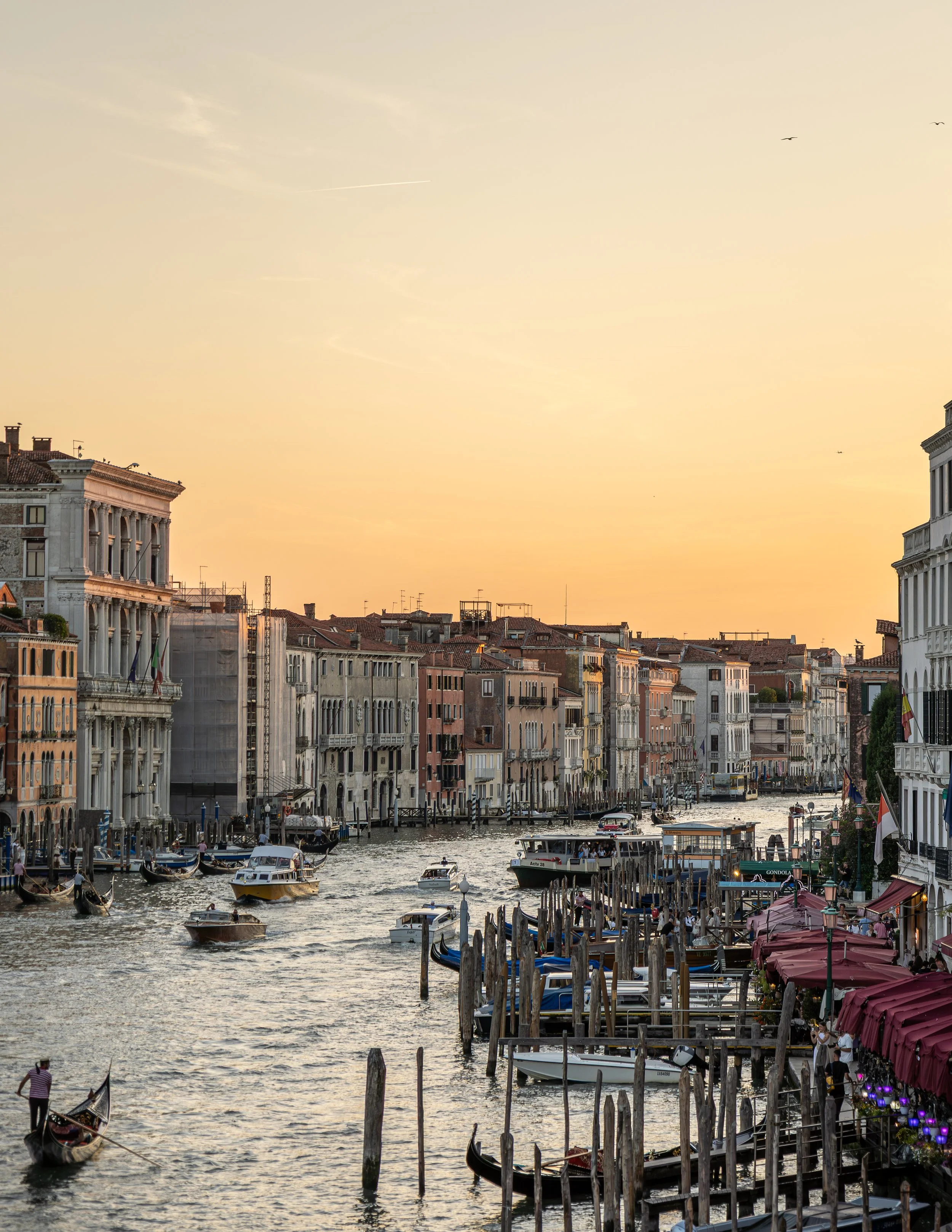 VenicePortfolio-4.jpg