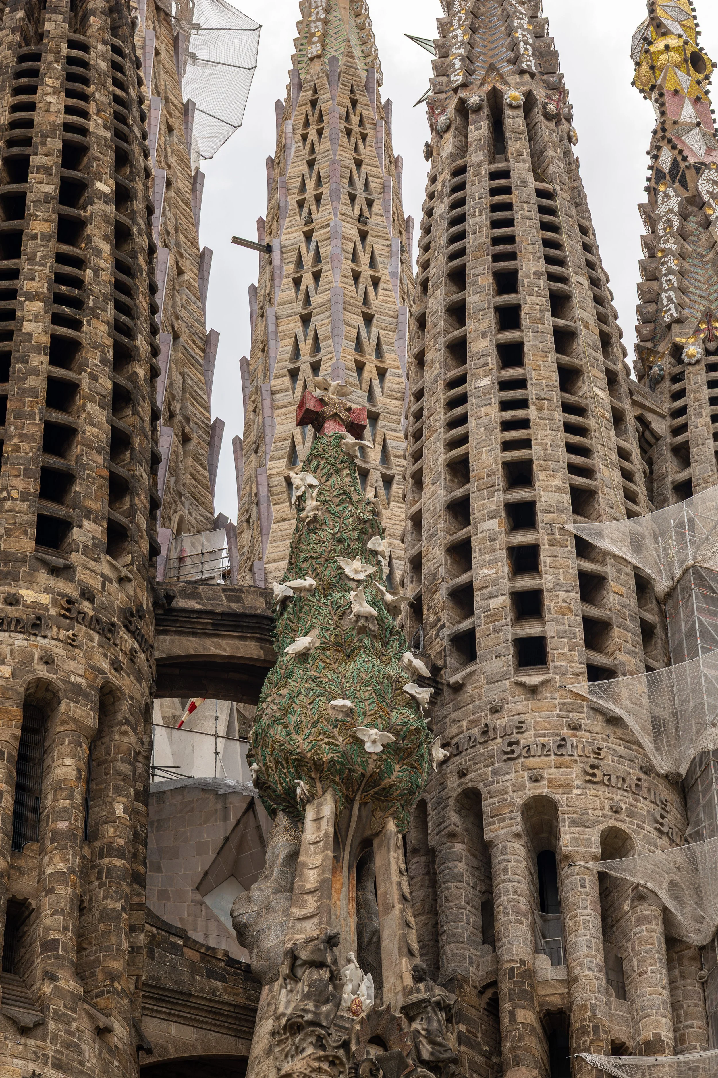 BarcelonaSolid-7.jpg