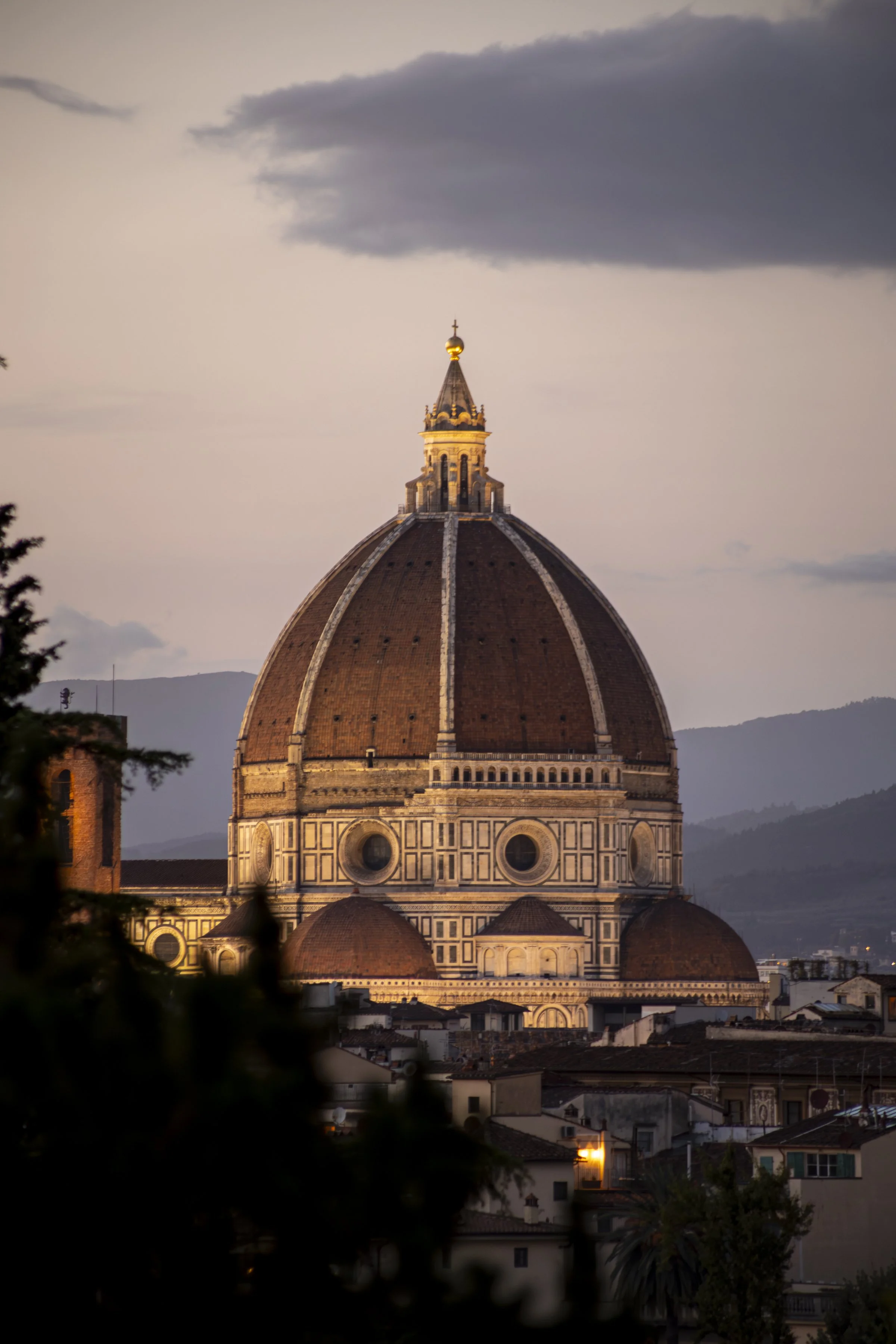 FlorenceSolid-9.jpg
