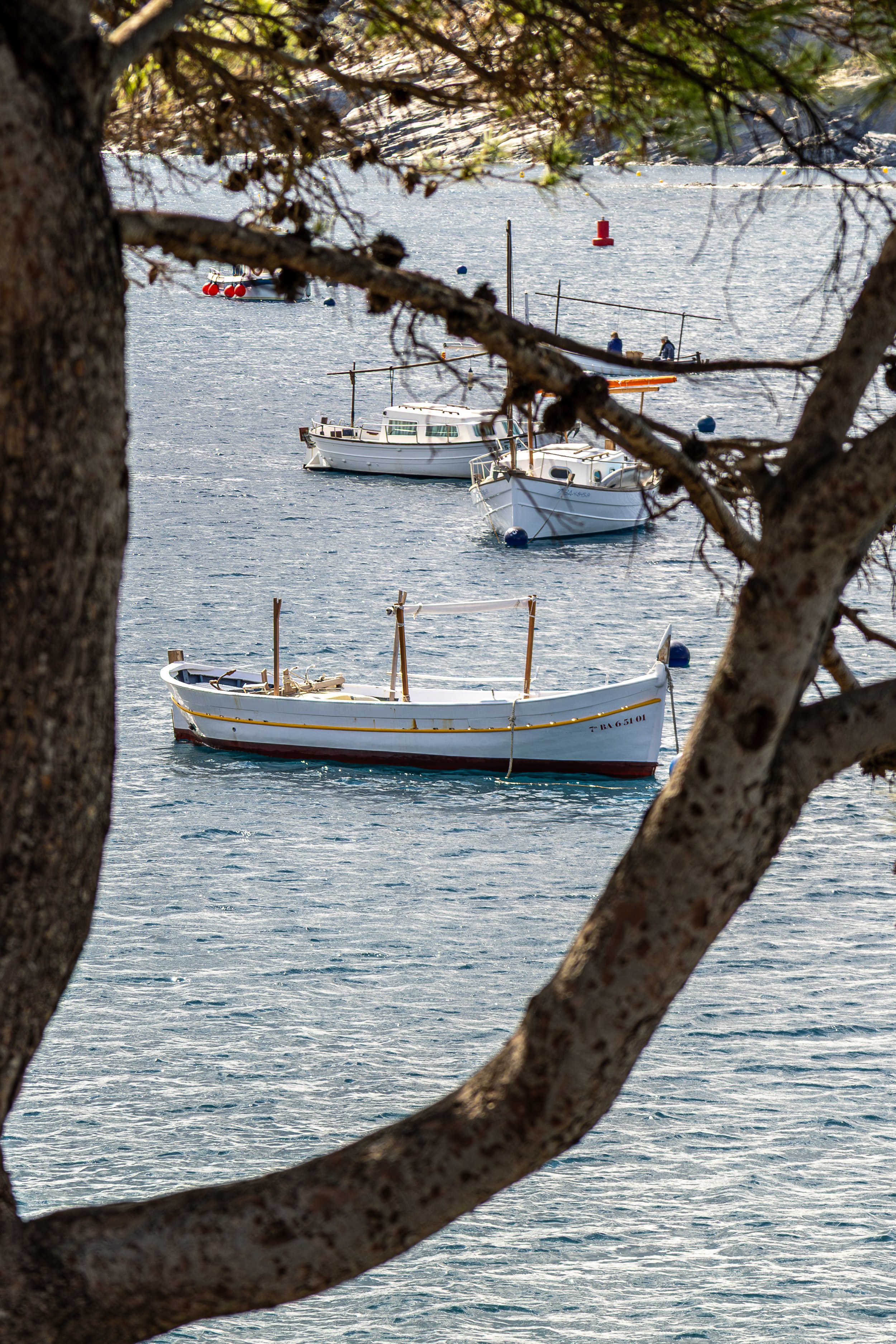 CostaBravaSolid-21.jpg