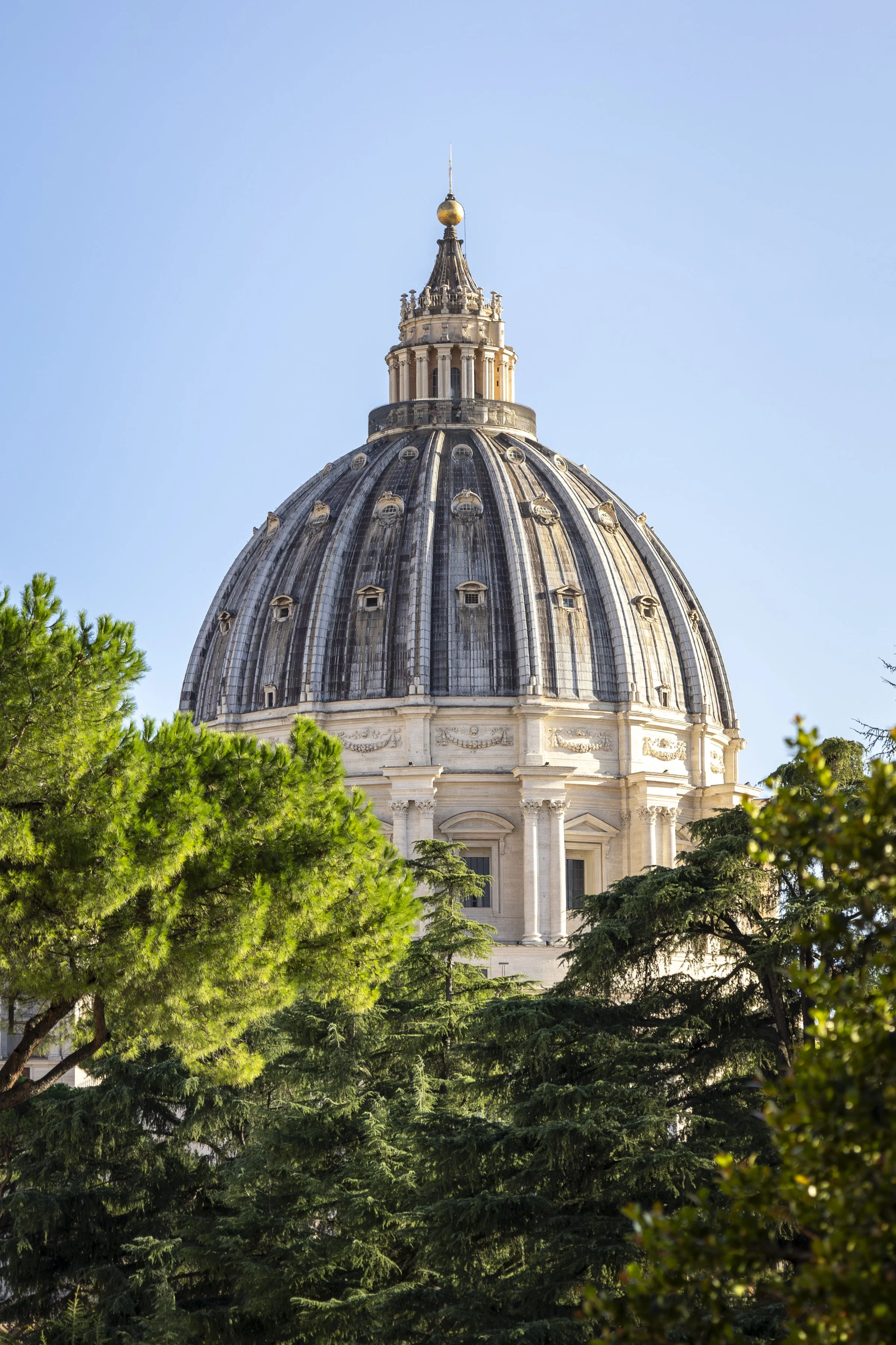RomeSolid-80.jpg