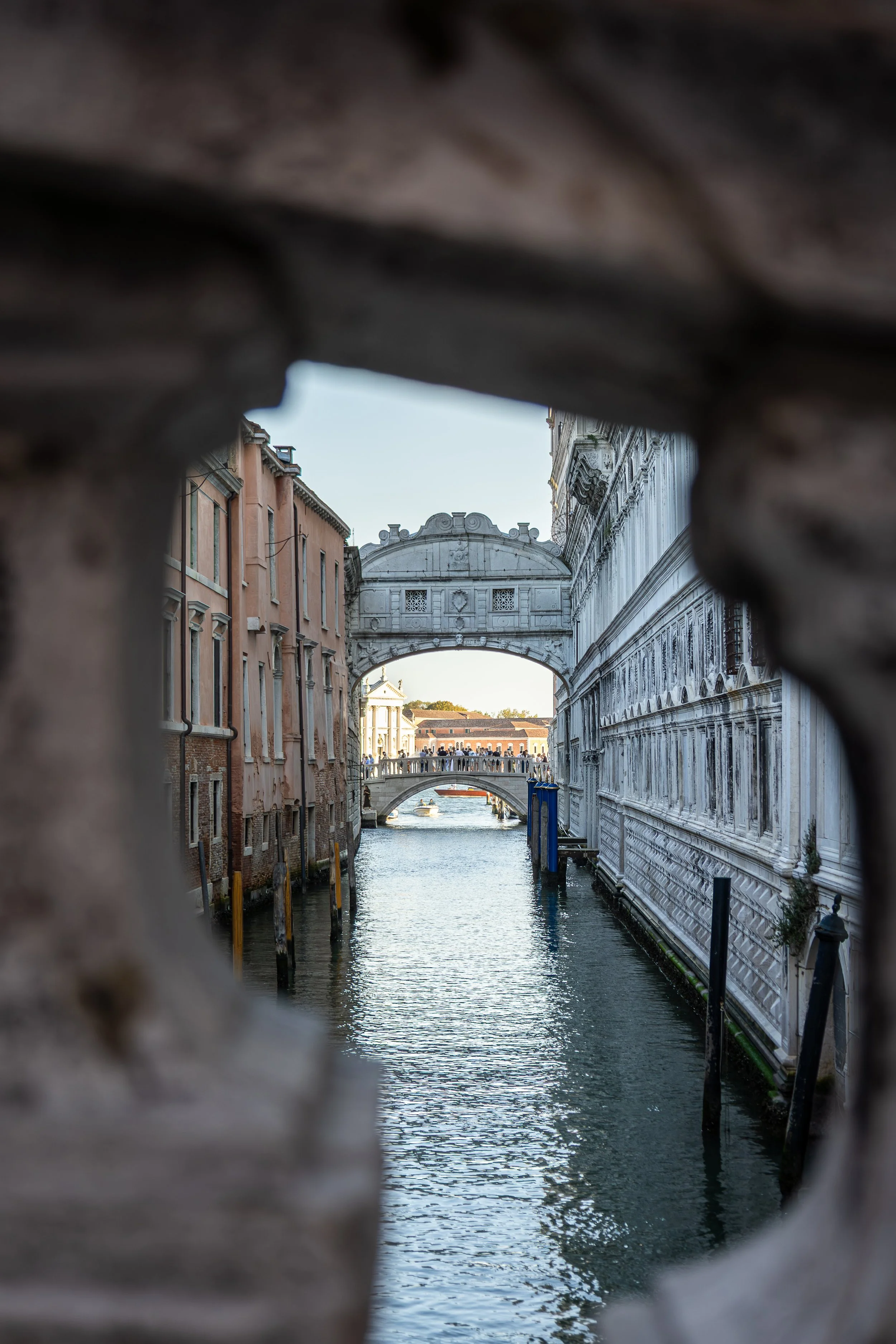 VenicePortfolio-3.jpg
