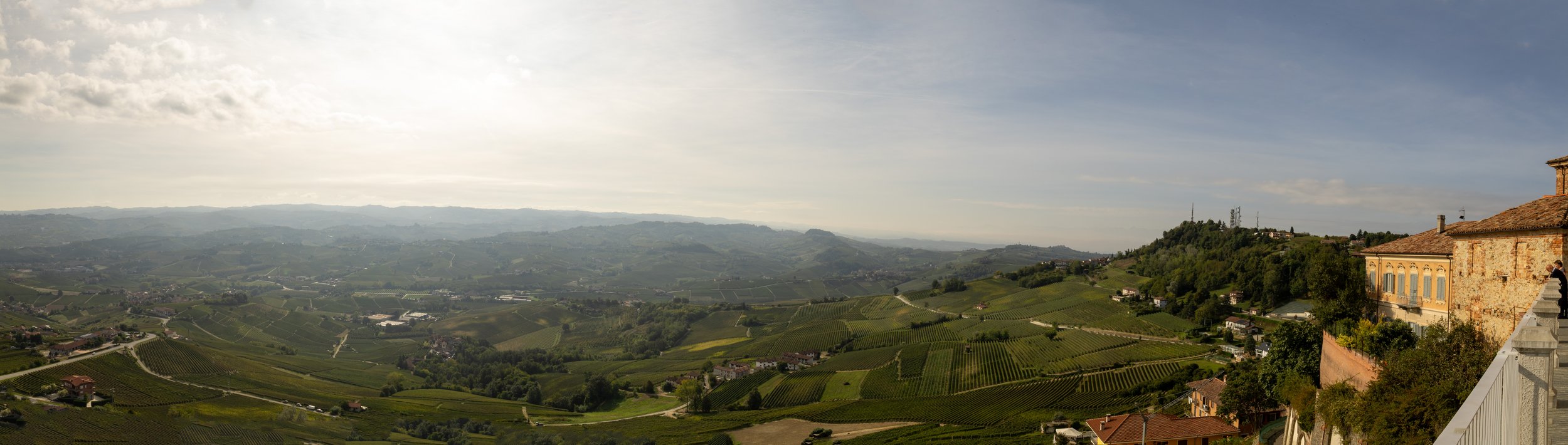 AlbaPortfolio-1.jpg