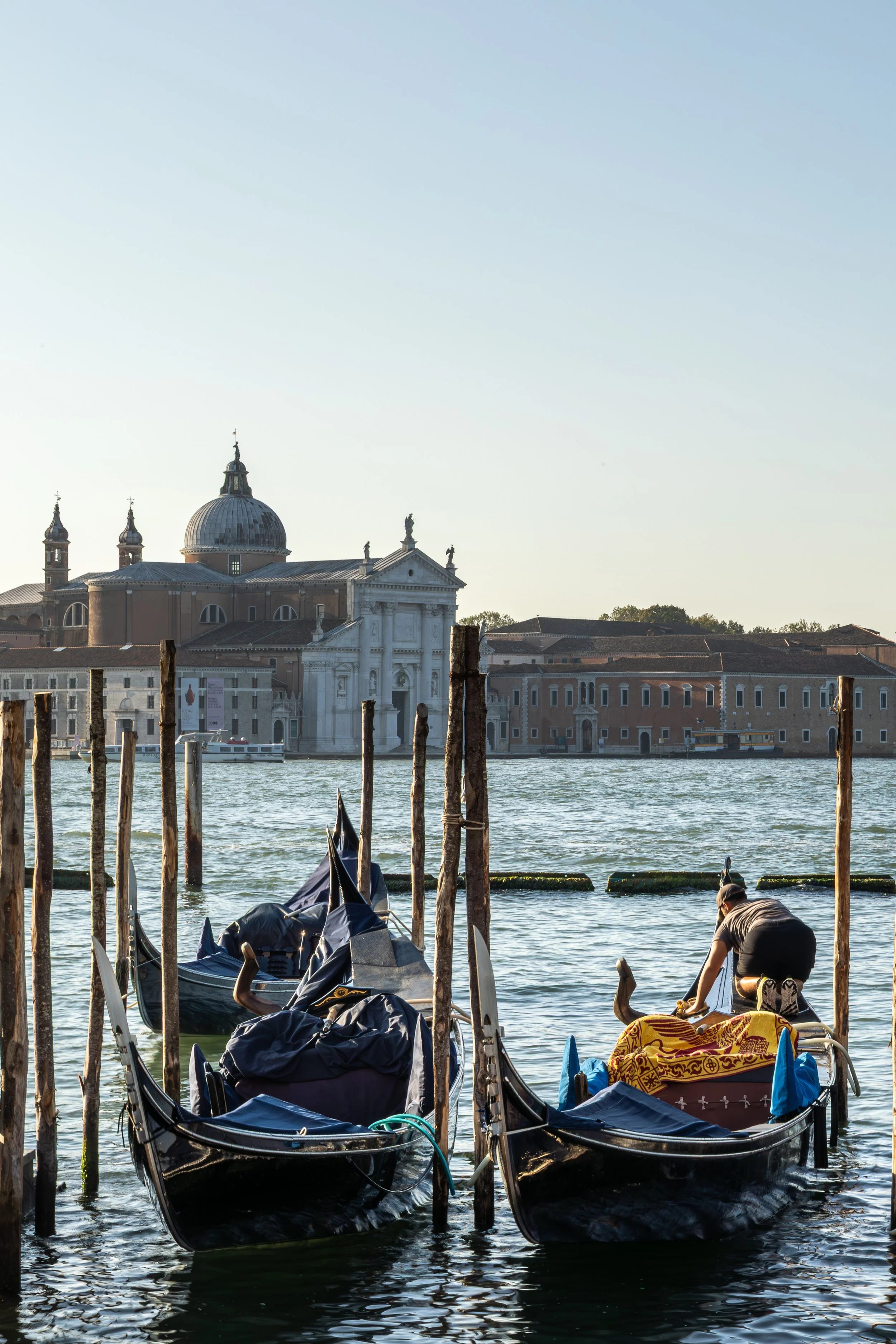 VeniceSolid-9.jpg