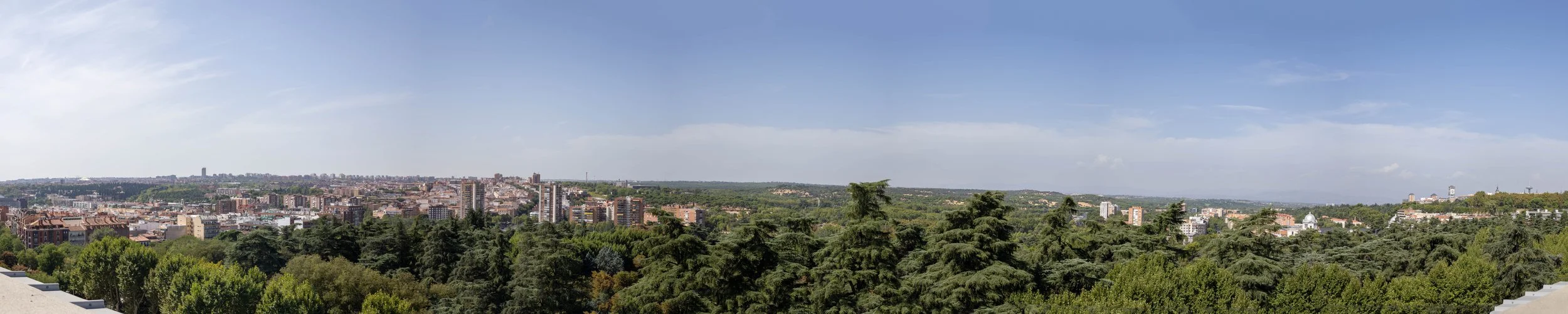 MadridPortfolio-1.jpg