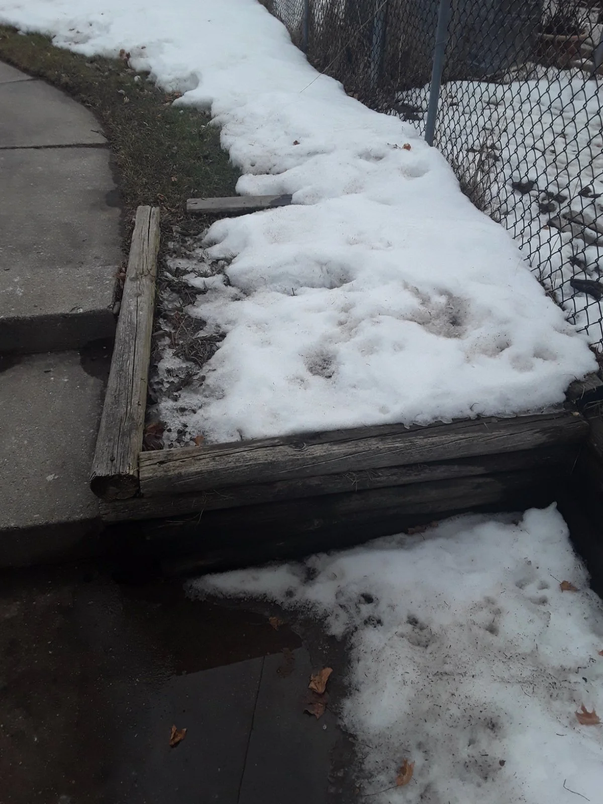 Betos before landscaping.jpeg