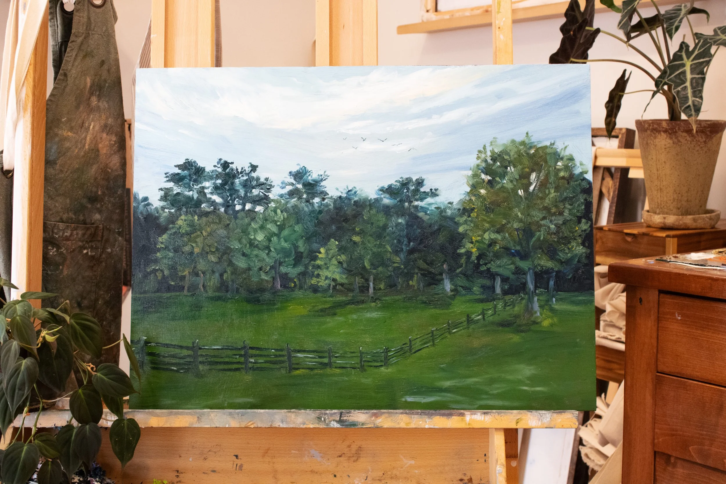 Where Green Grass Grows