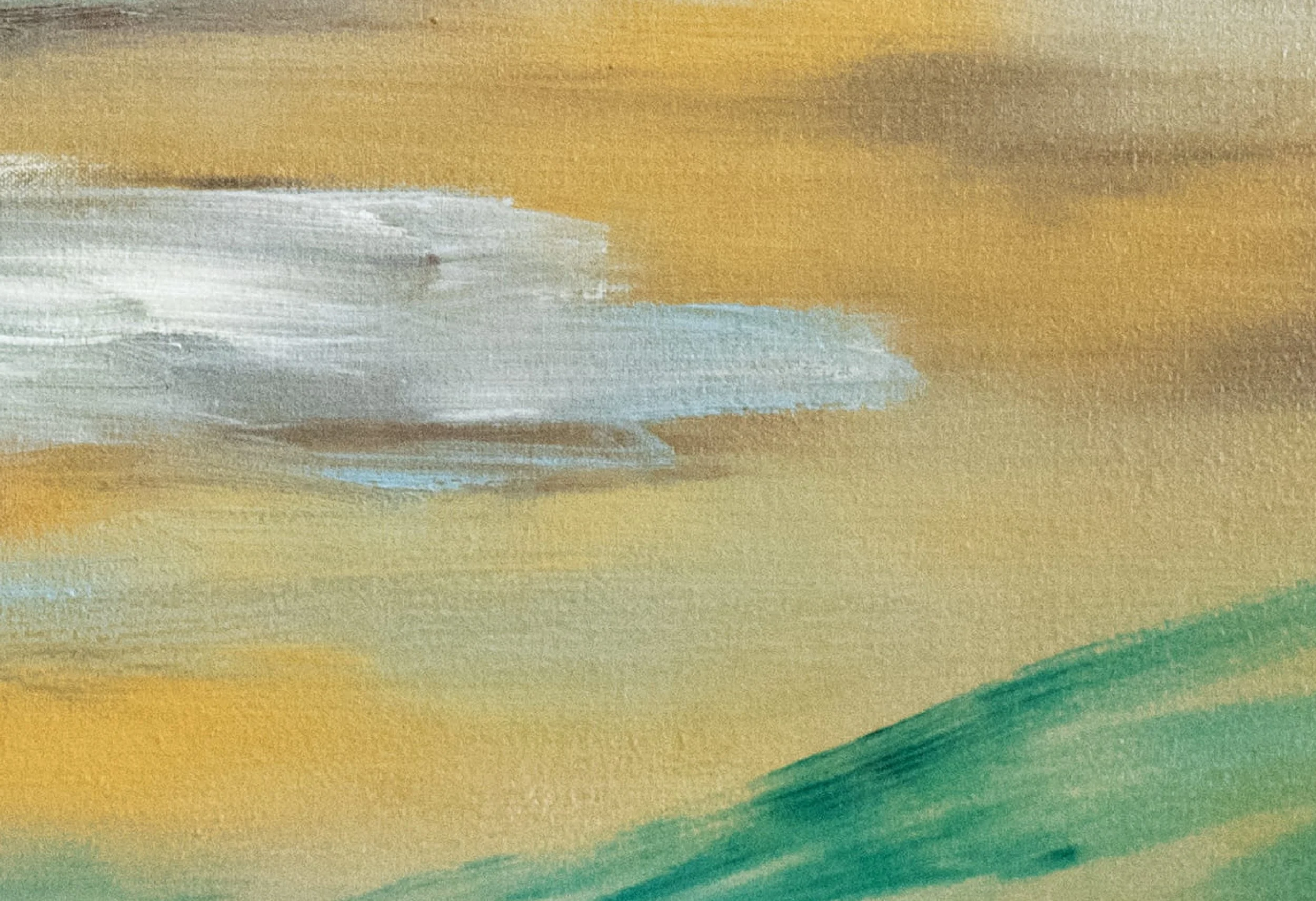 zoom-05.jpg