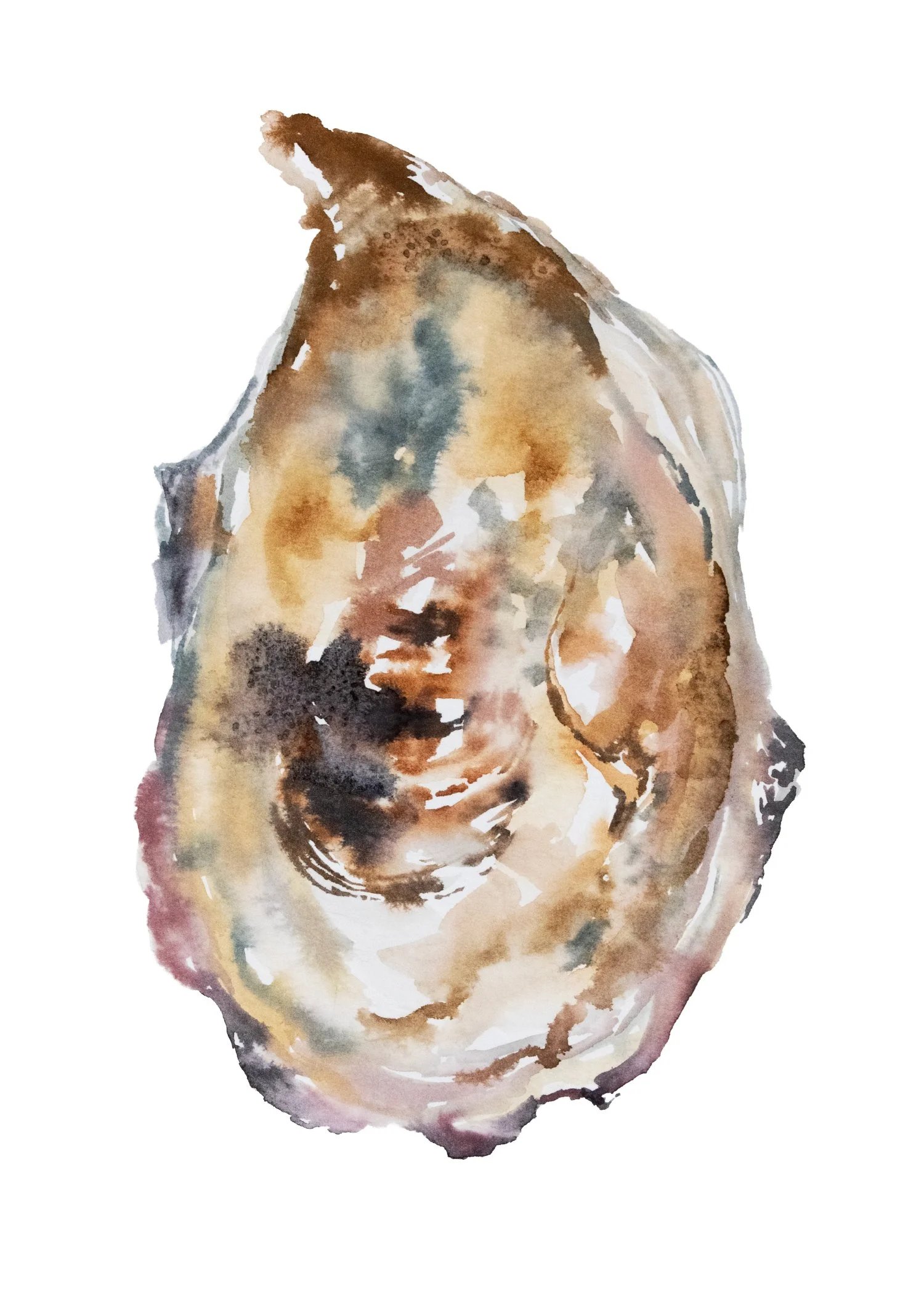 Oyster III Print