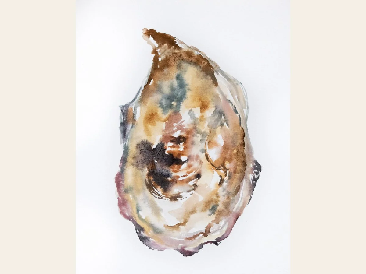 Oyster III