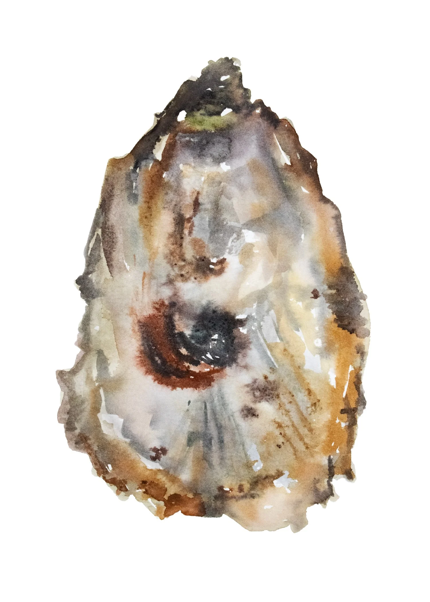 Oyster II Print