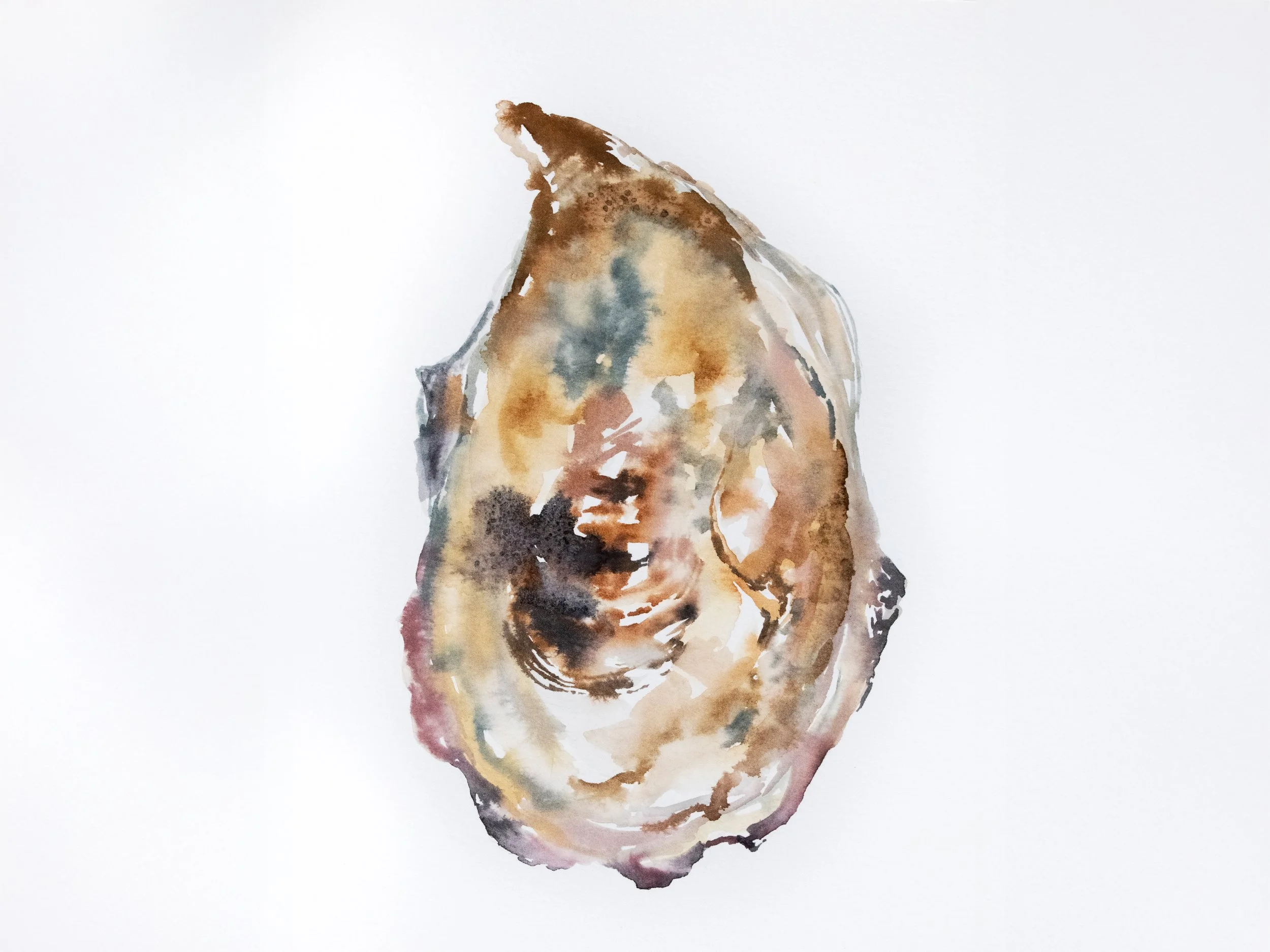Oyster III