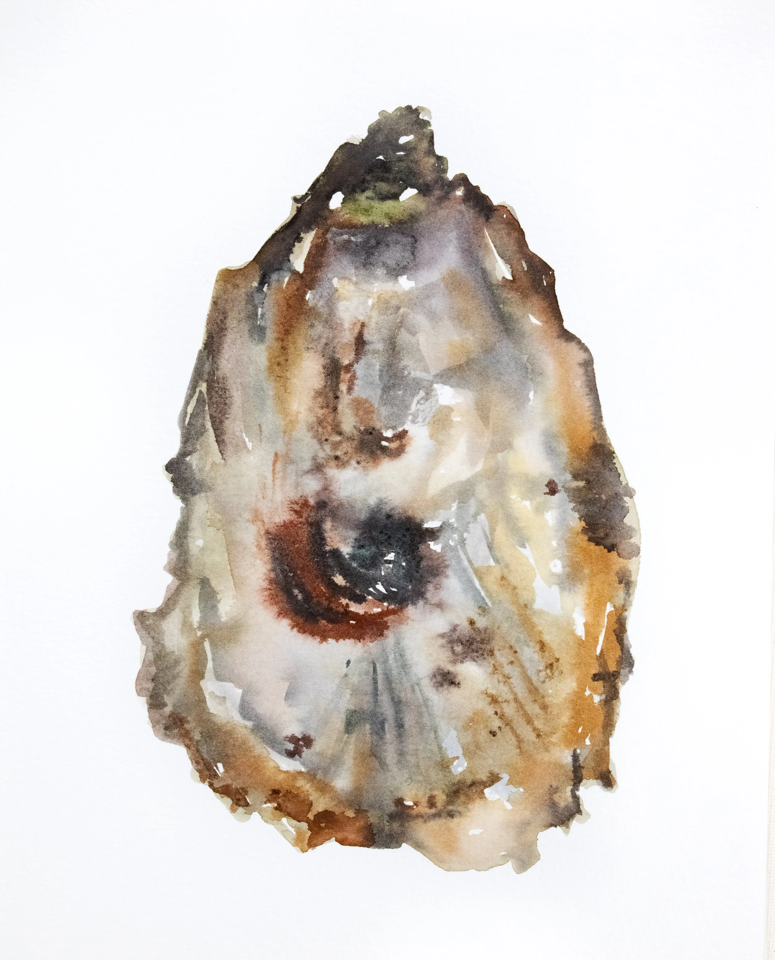 Oyster II
