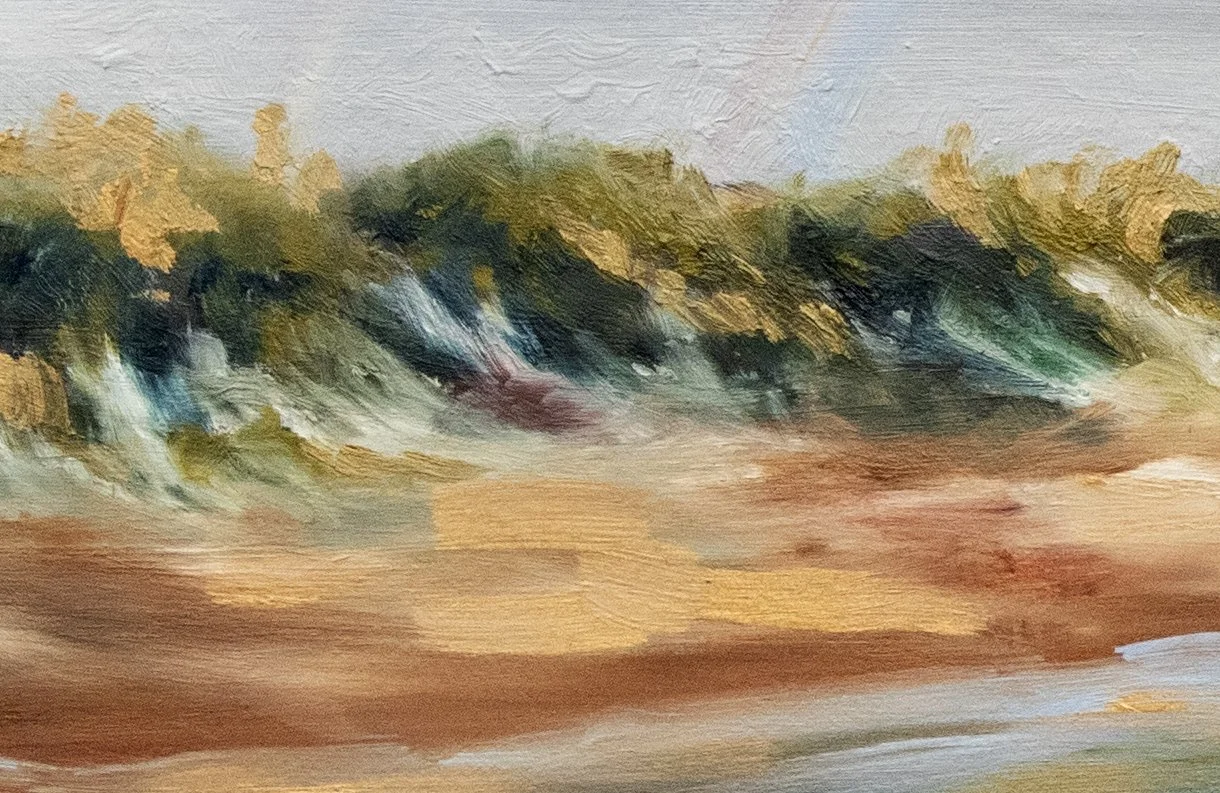 zoom-05.jpg