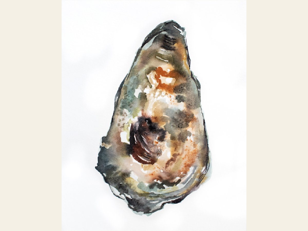 Oyster I