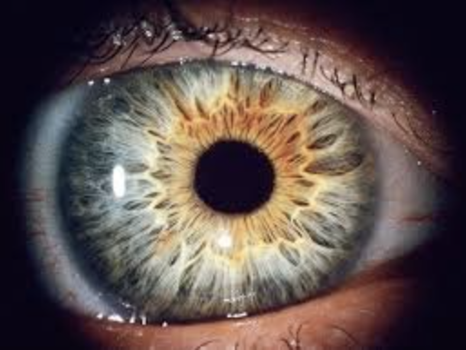 Iridology With Saxon