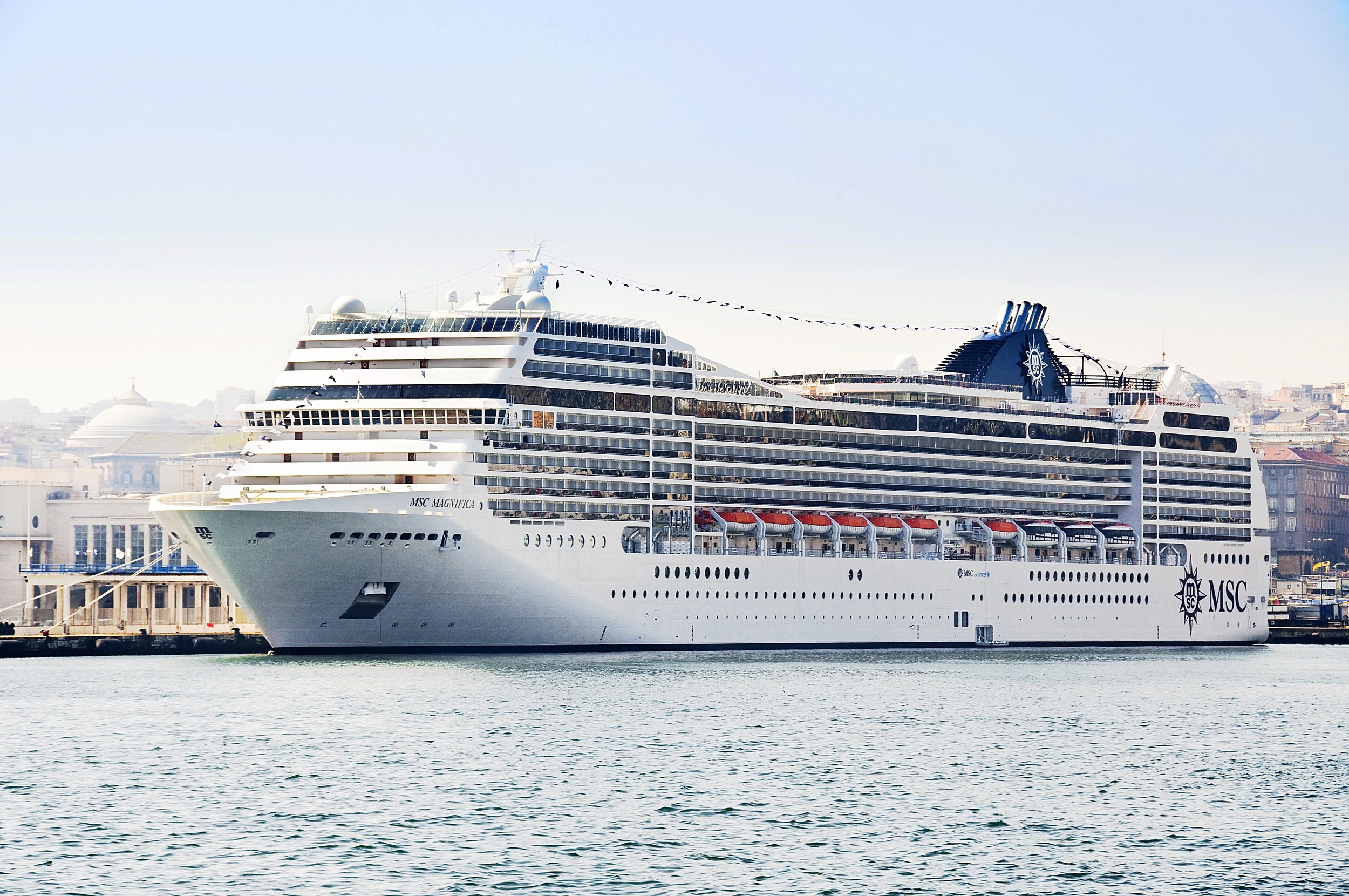 MSC13013268.jpg