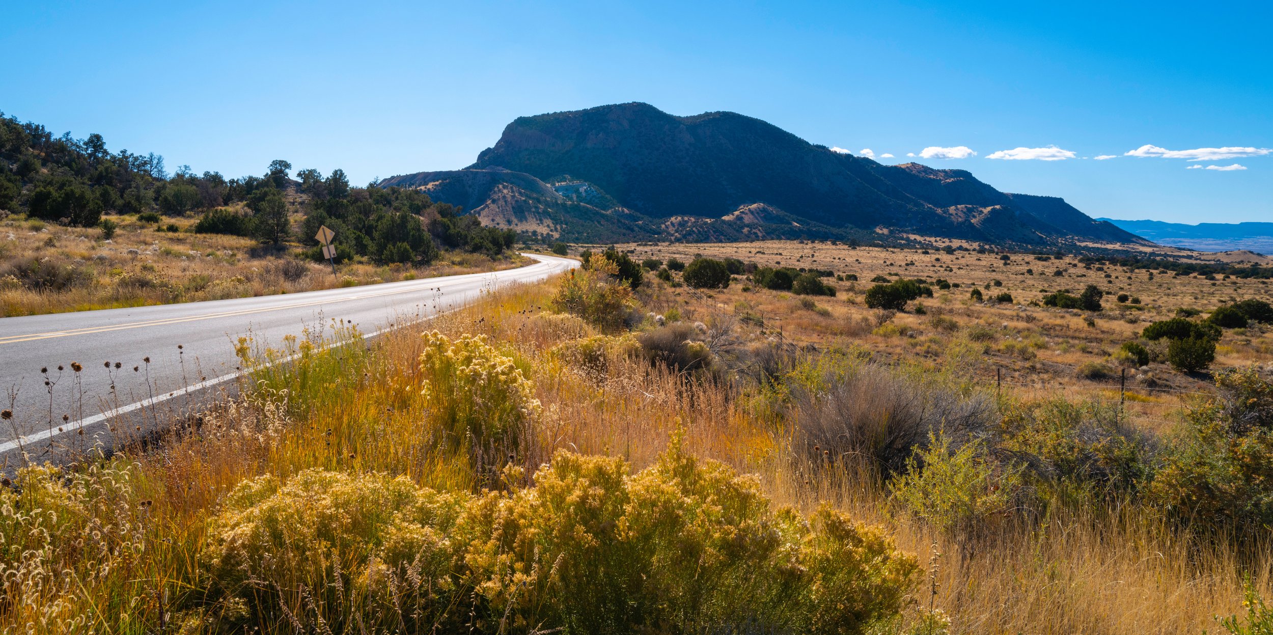 Grants, NM: Cibola National Forest