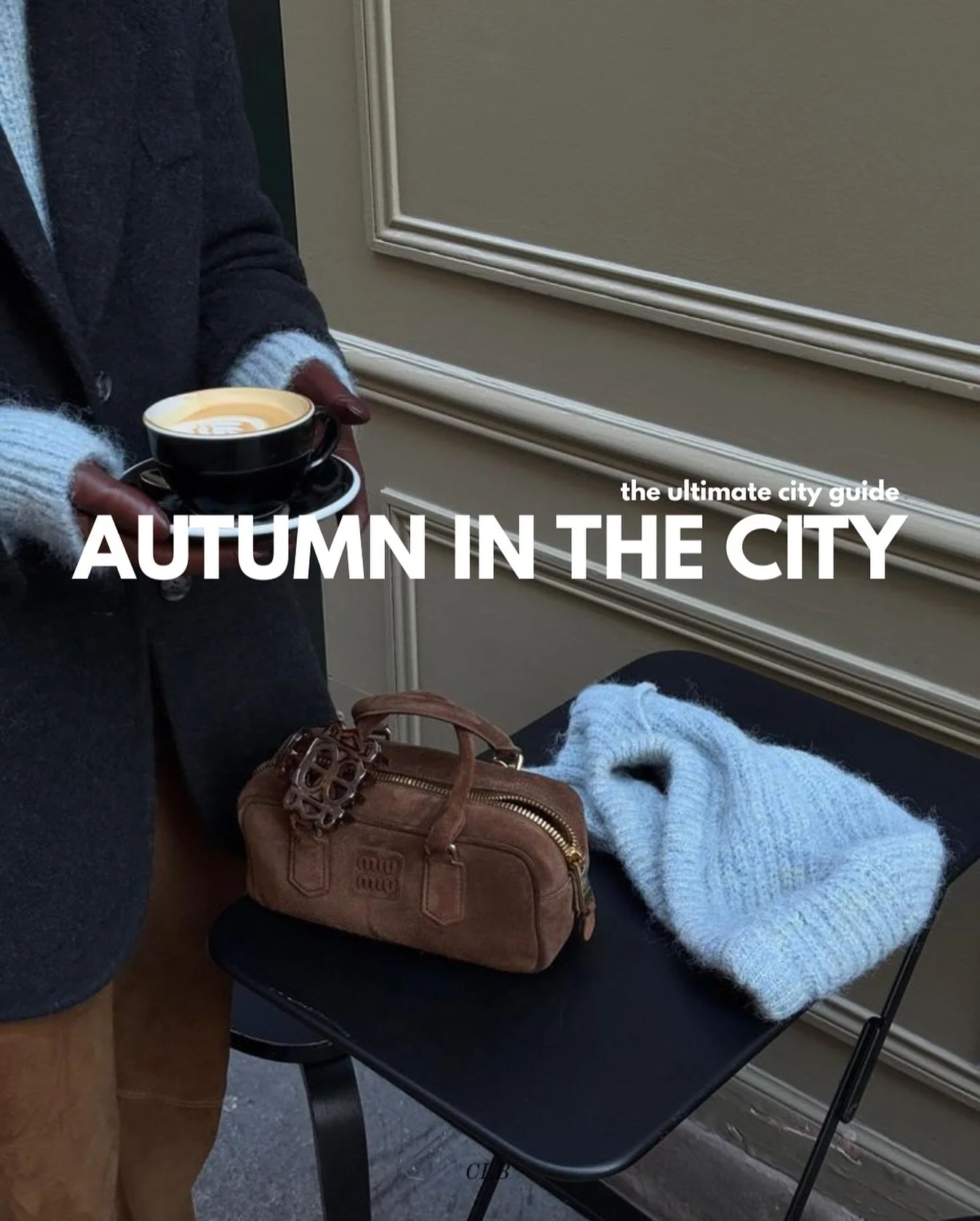 the ultimate guide to fall in nyc 🍂

head to link in bio to read our newsletter on how to make the best of the season in the city! 

#theclbstrategy