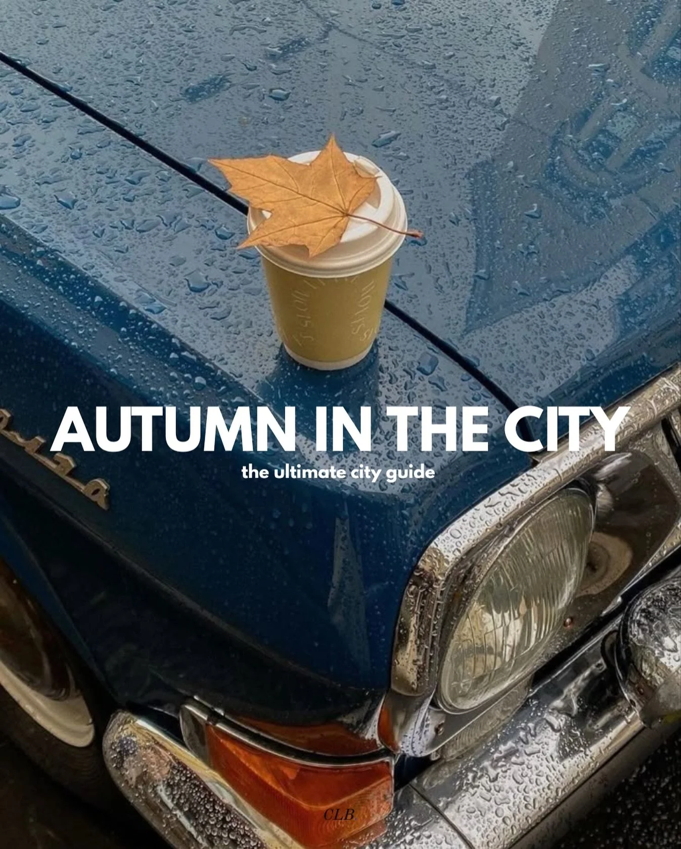 the ultimate guide to fall in nyc 🍂

head to link in bio to read our newsletter on how to make the best of the season in the city! 

#theclbstrategy