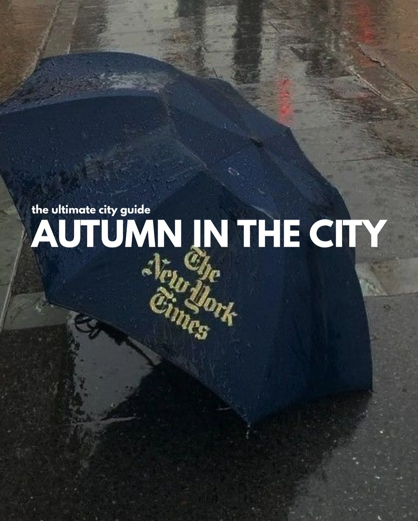 the ultimate guide to fall in nyc 🍂

head to link in bio to read our newsletter on how to make the best of the season in the city! 

#theclbstrategy