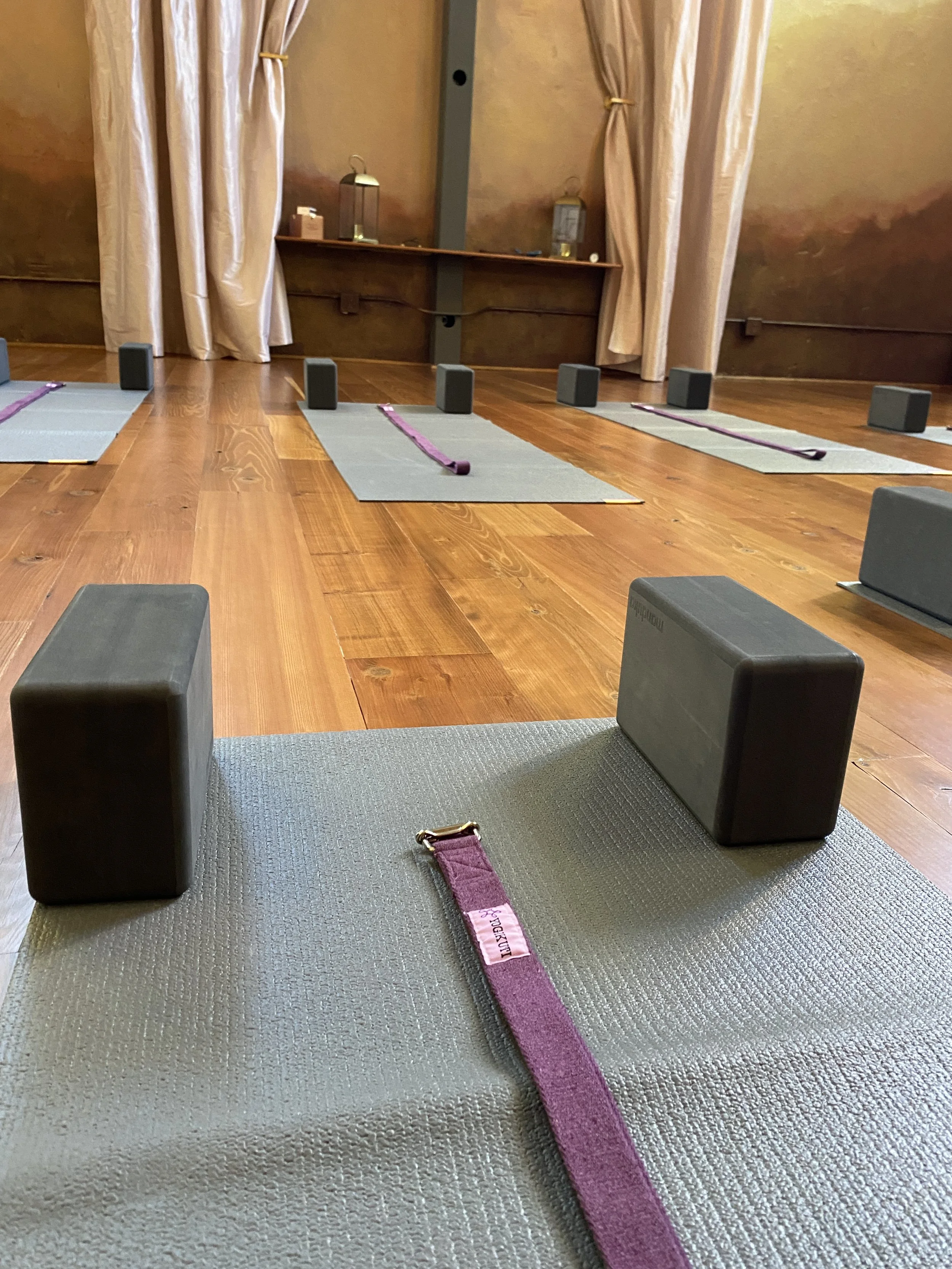 full bodied yoga blocks.JPG