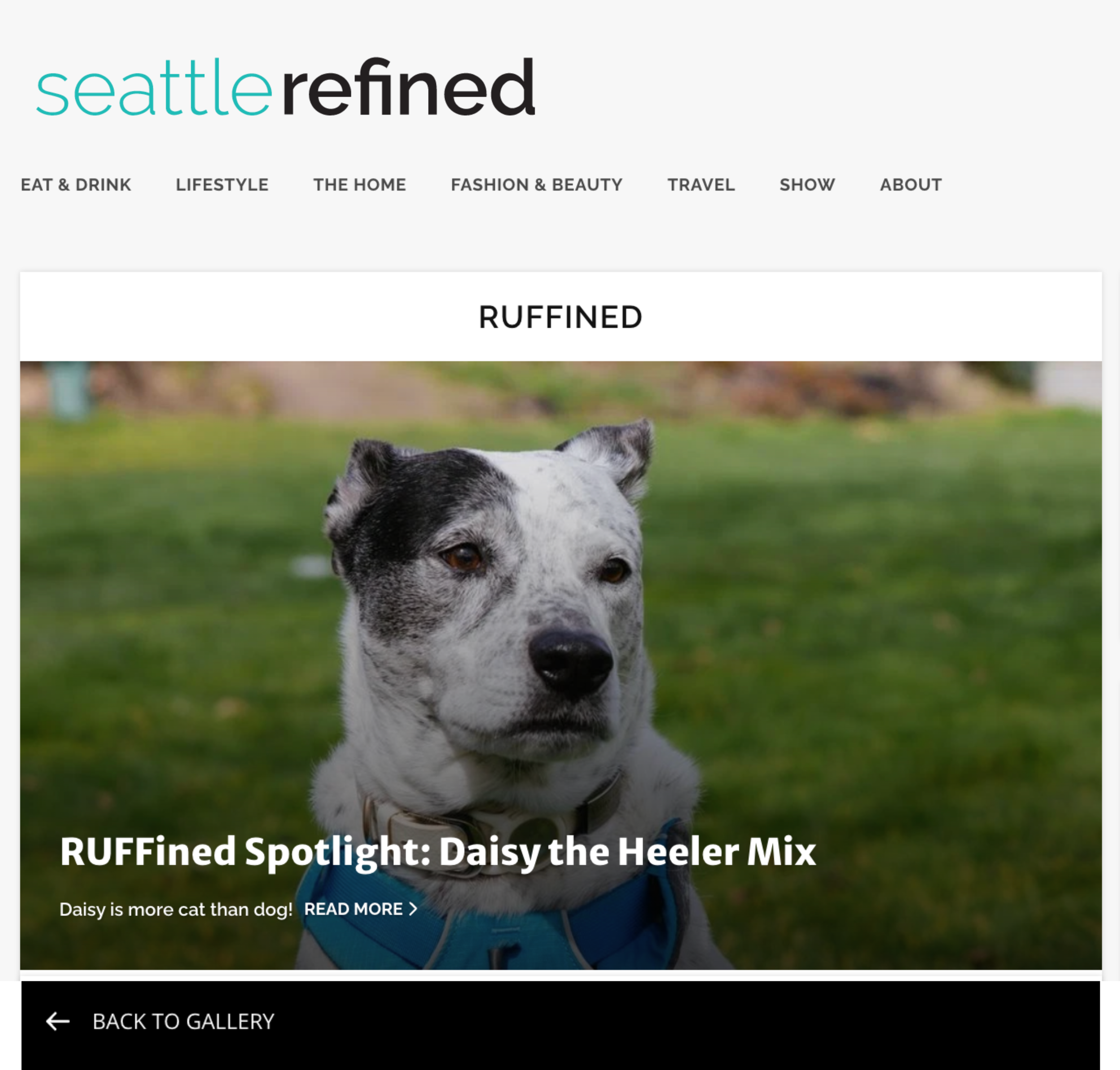 Wild Pack in the News: Daisy Featured in Komo News’ Seattle Refined!