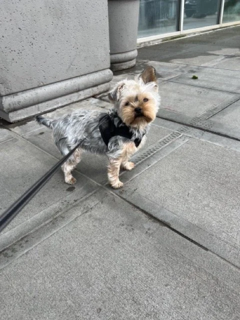 IMG_5150 Medium.jpeg