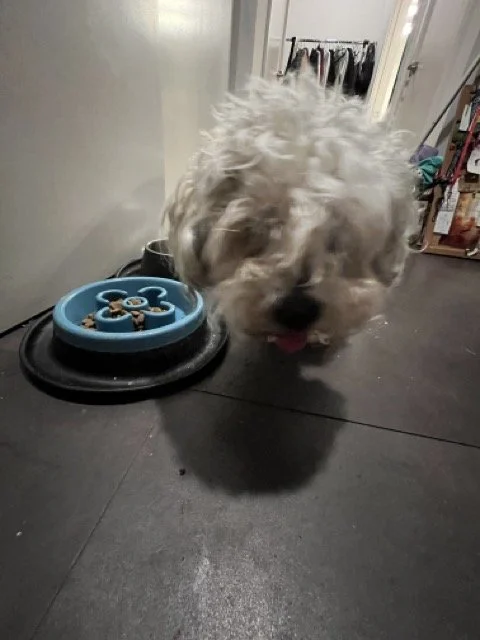 IMG_5159 Medium.jpeg