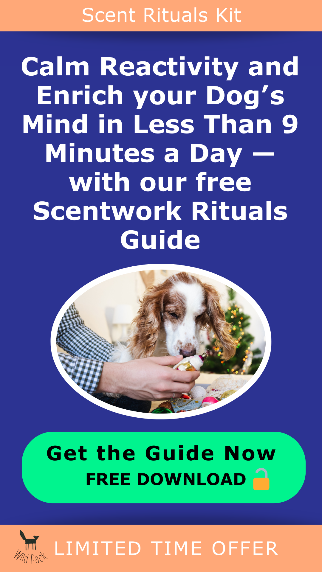 Dog Nosework Guide Free Download