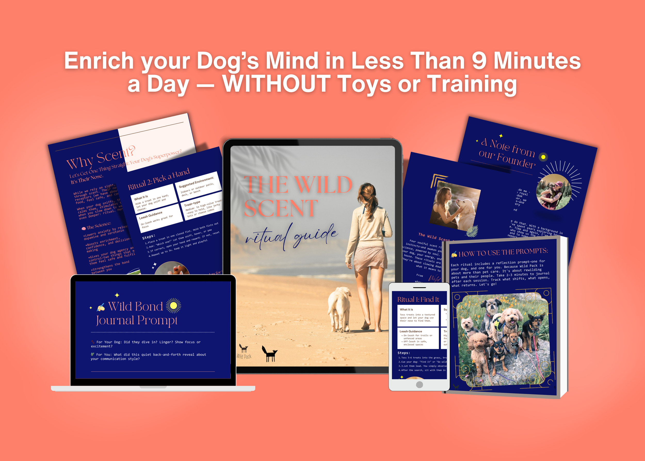 Wild Scent Ritual Guide | Calm Reactivity and Enrich your Dog’s Mind
