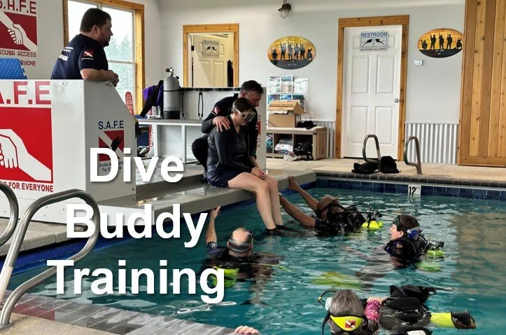 Dive Buddy Training