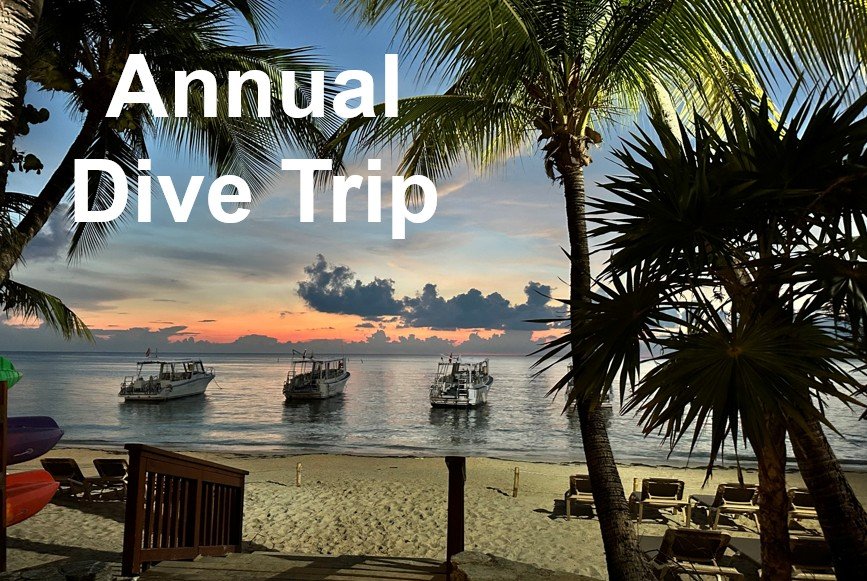 Dive Trip to Roatan, Honduras Week 1