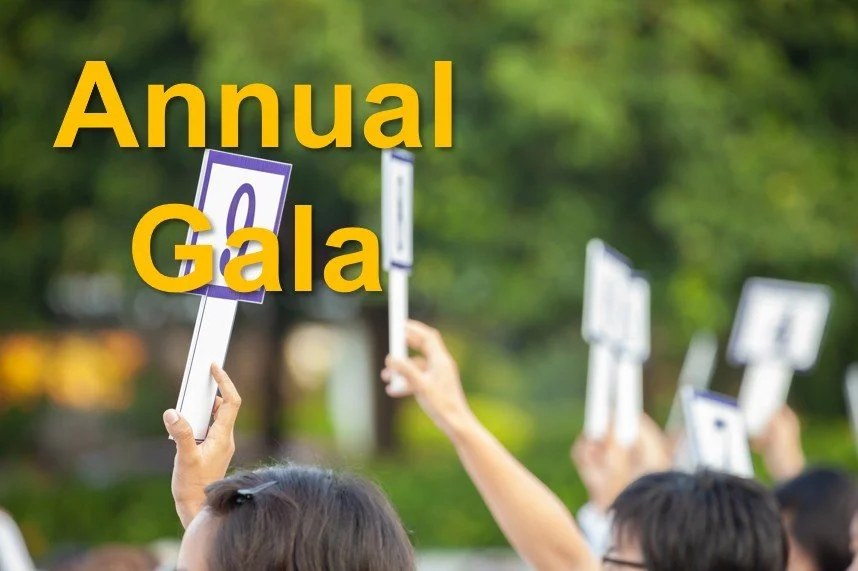 Annual Fundraiser and Gala
