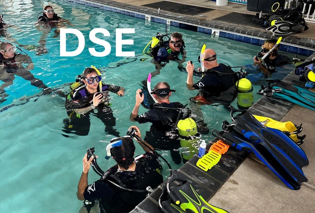 DSE - Discover Scuba Experience